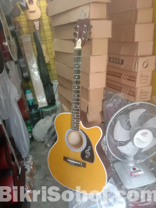 Brand New Collection Guitar